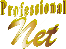 Professional Net