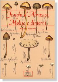 Funghi d'Abruzzo, Molise e dintorni