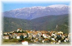 Borrello