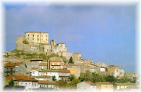 Carpineto Sinello