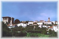 Mozzagrogna