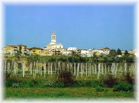 Poggiofiorito