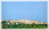 Scerni